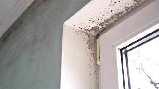 Worried About Mold? Learn How to Prevent Mold from Growing on Your Windowsills Find out simple steps you can take to prevent mold from growing on your Southern California windowsills. Request a free estimate for new windows. 